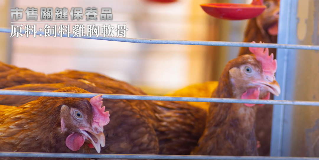 YOZAI-一般市售關鍵保養品原料多為飼料雞胸軟骨