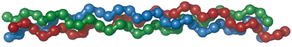 非變性II型膠原蛋白結構體
